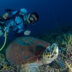 Diving License Malaysia
