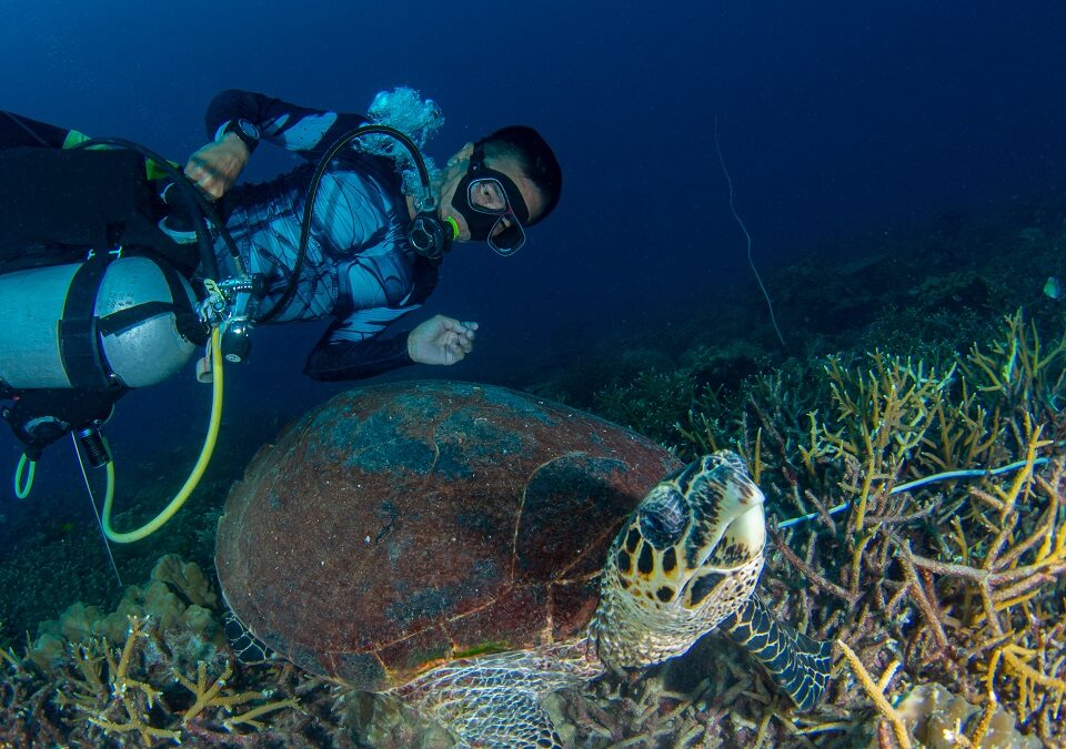 Diving License Malaysia