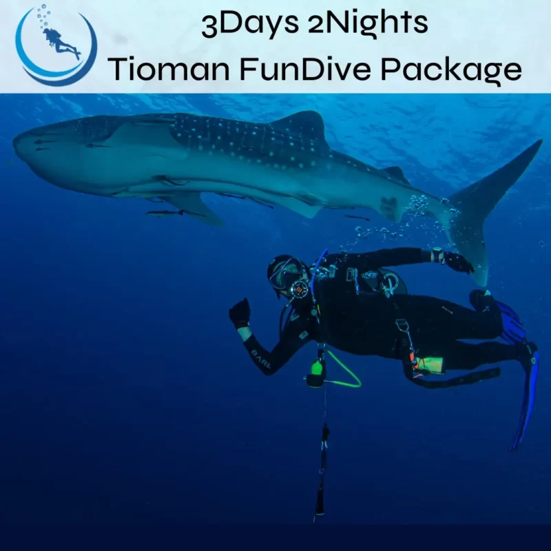 Tioman Fundive Package