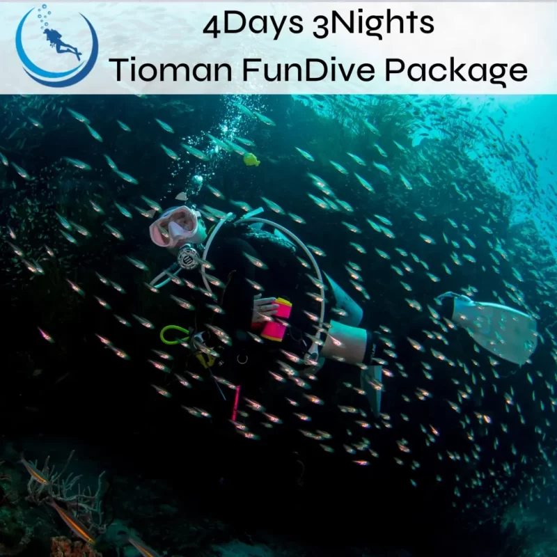 Tioman Fundive Package