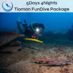 Tioman Fundive Package