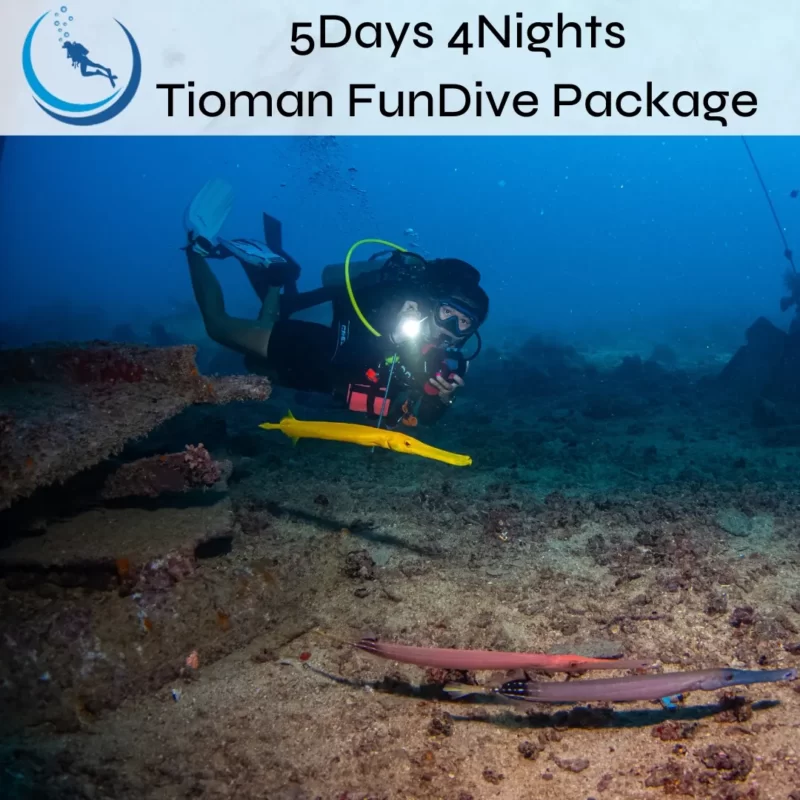 Tioman Fundive Package