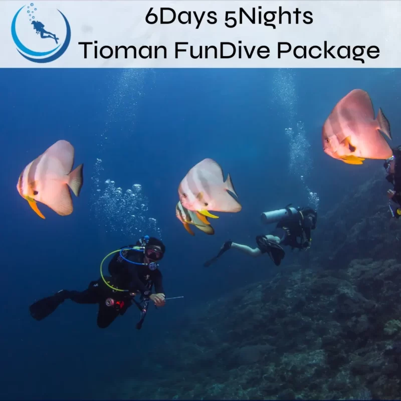 Tioman Fundive Package