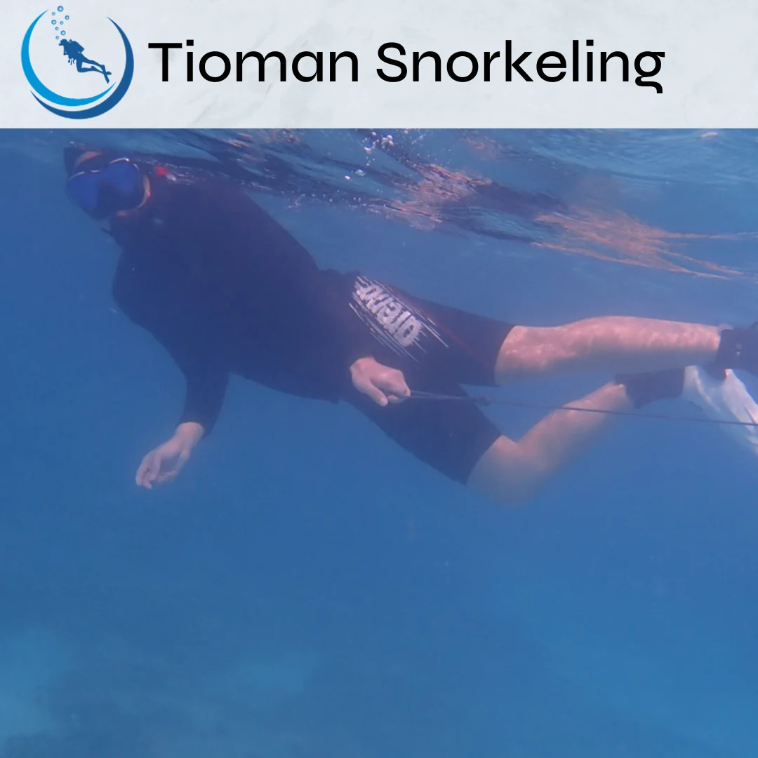 Tioman Snorkeling Package