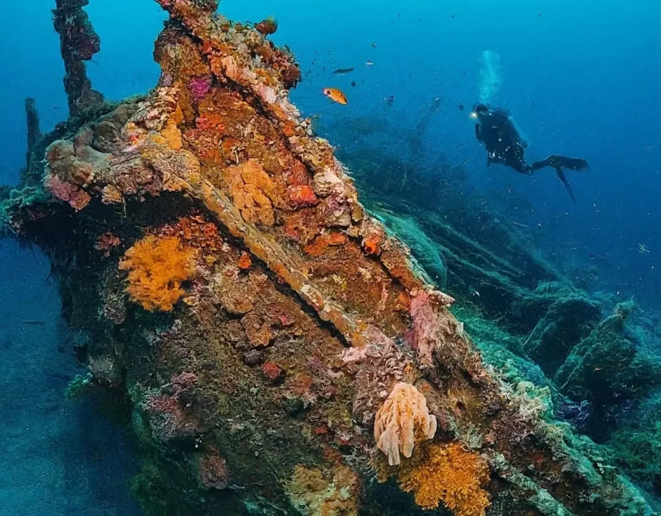 Advanced Open Water Diver Course Unlock New Underwater Adventures