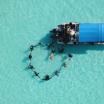 Aerial Serenity Divers in Harmony Amidst Tioman's Pristine Waters