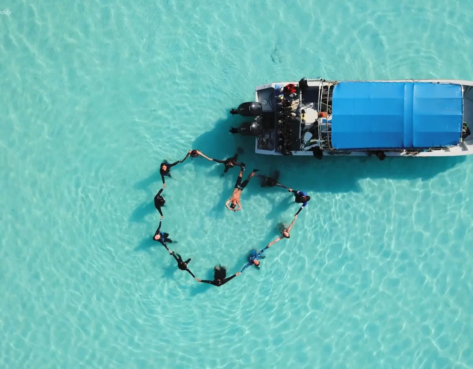 Aerial Serenity Divers in Harmony Amidst Tioman's Pristine Waters