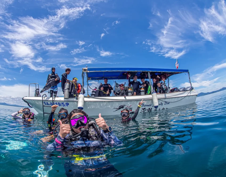Explore New Horizons How the Open Water Diver Course Expands Your World