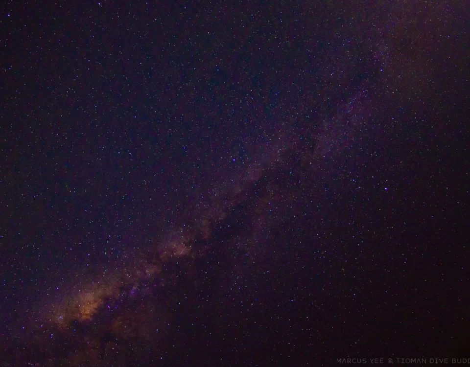Explore the Milky Way at Tioman Island A Stargazer's Paradise