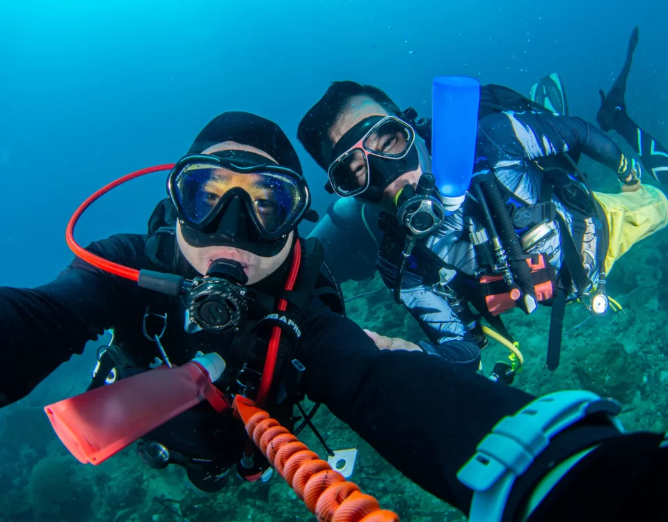 From Beginner to Expert How the Open Water Diver Course Transforms You