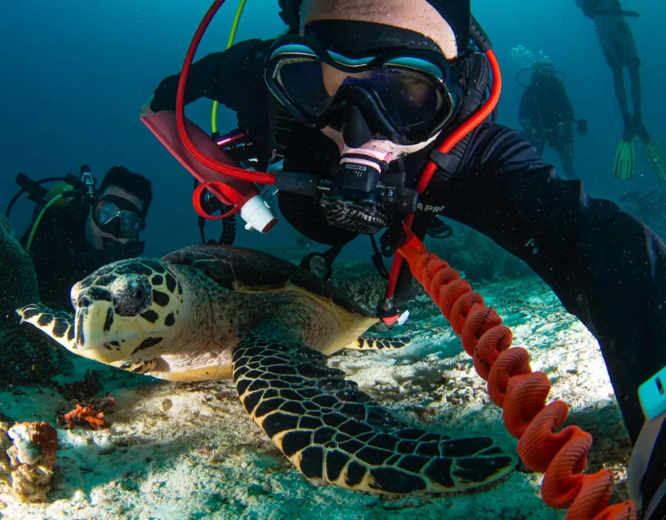 Scuba Diving Courses in Tioman Learn and Explore