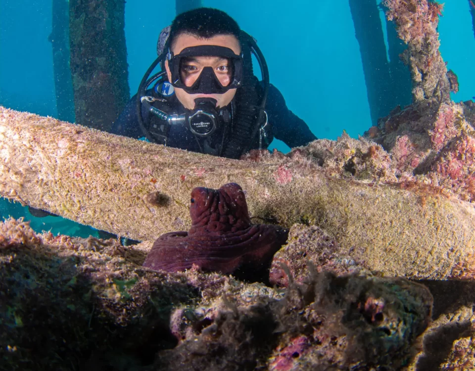 The Open Water Diver Course A Life-Changing Experience
