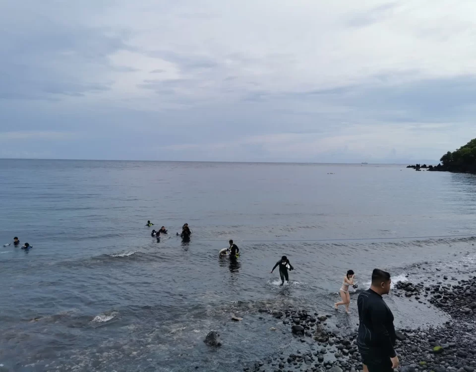 The Open Water Diver Course Your First Step to a Lifetime of Adventure