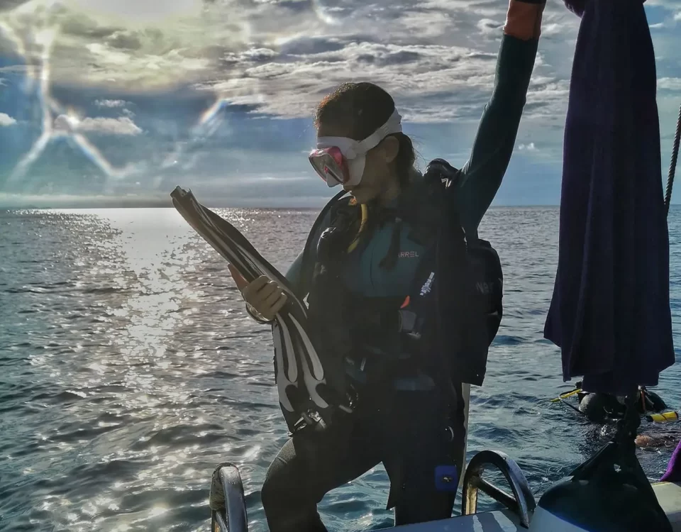 The Open Water Diver Course Your Gateway to a Lifetime of Ocean Adventures