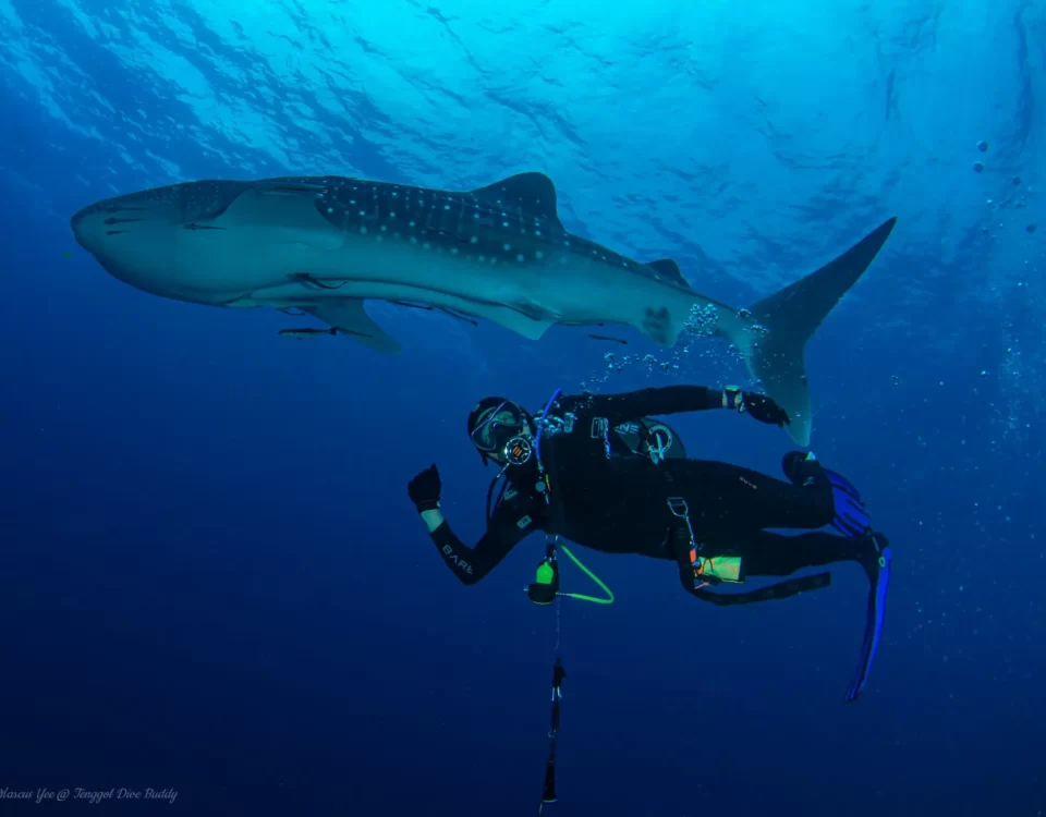 Diving License Malaysia