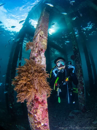 Diving License Malaysia