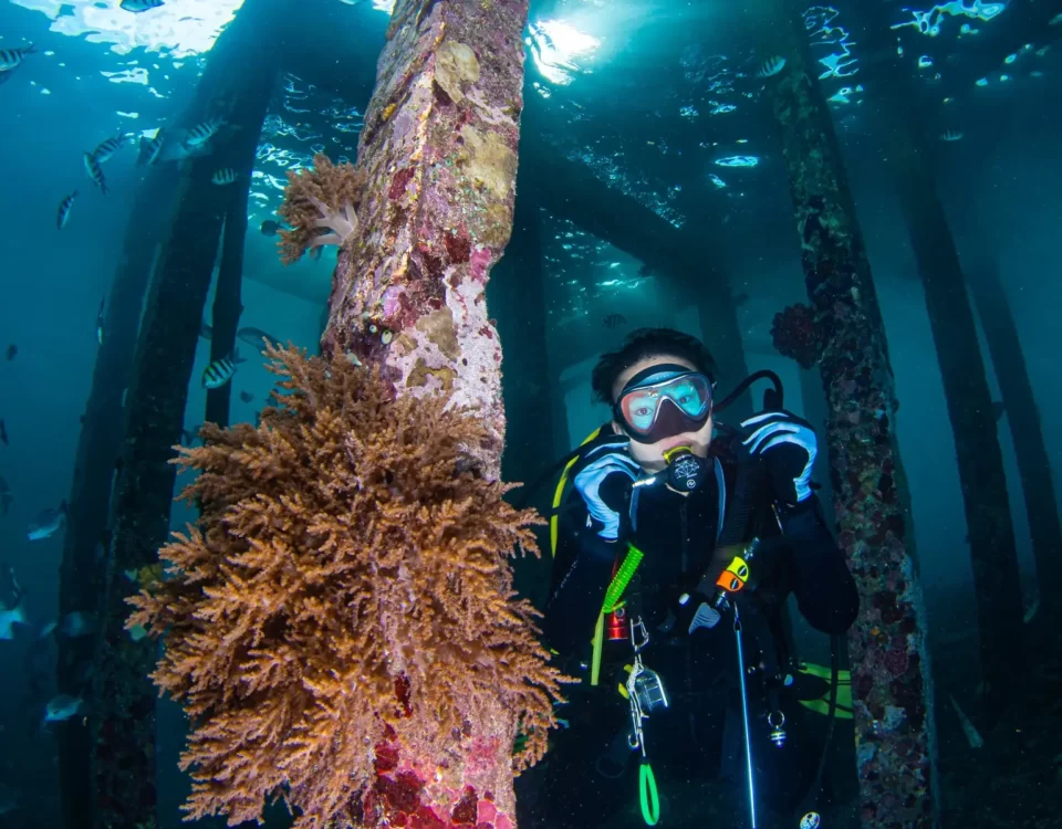 Diving License Malaysia