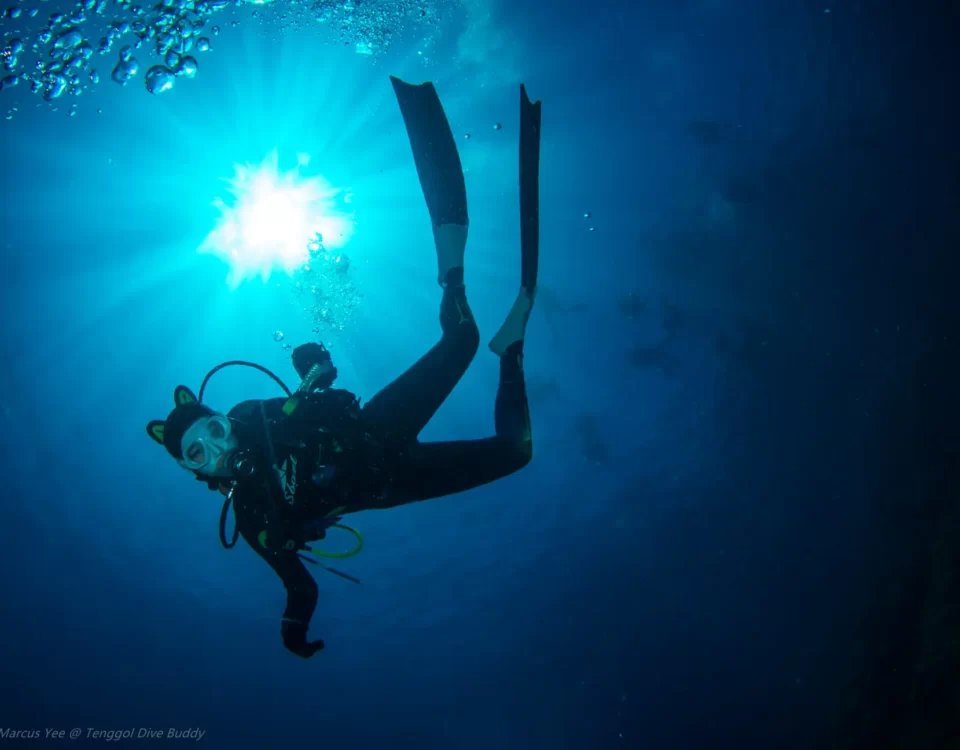 Diving License Malaysia