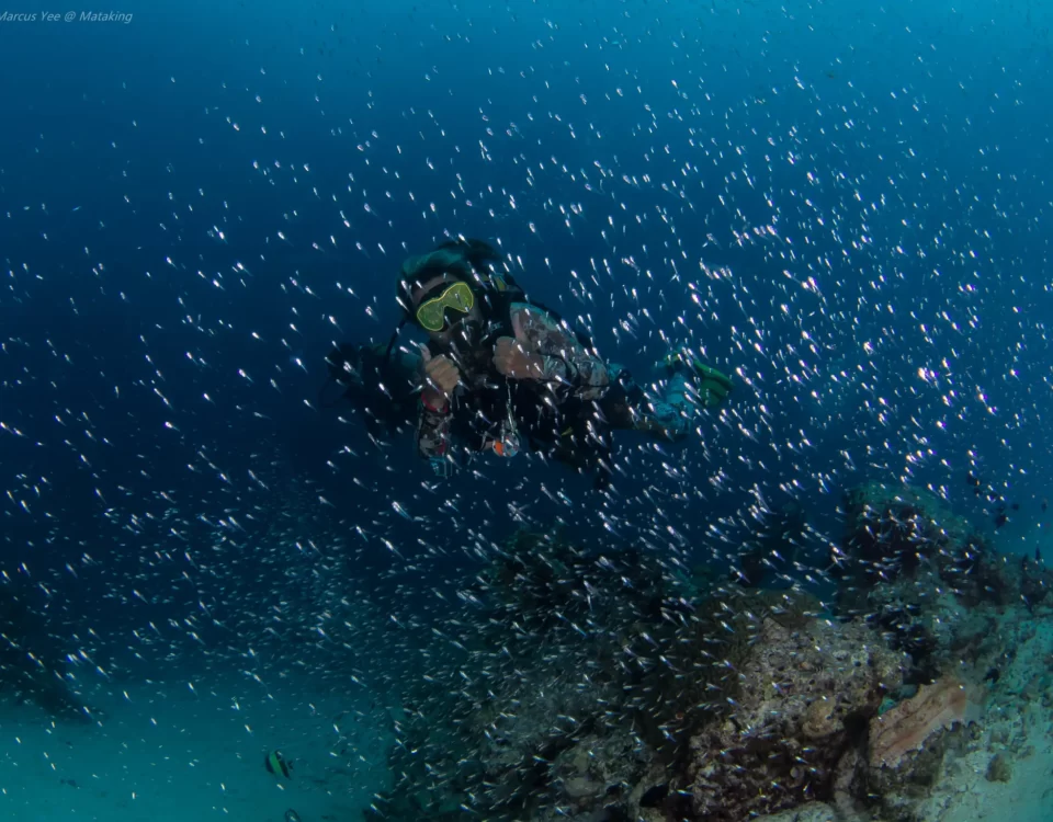 Diving License Malaysia