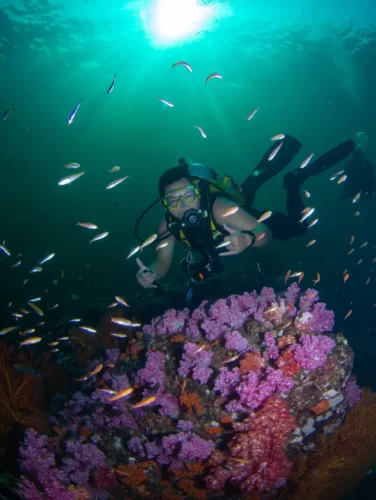 Eco-Friendly Diving Tips to Protect Tioman Island’s Coral Reefs