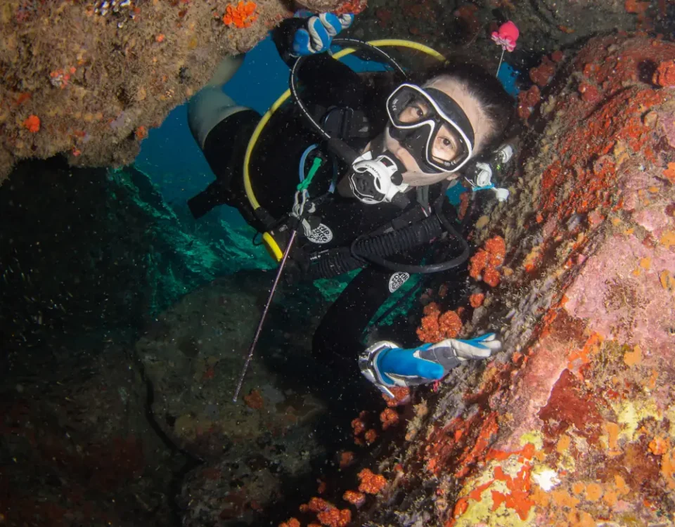 Scuba diver exploring coral swim-through at Jahat Island, Tioman