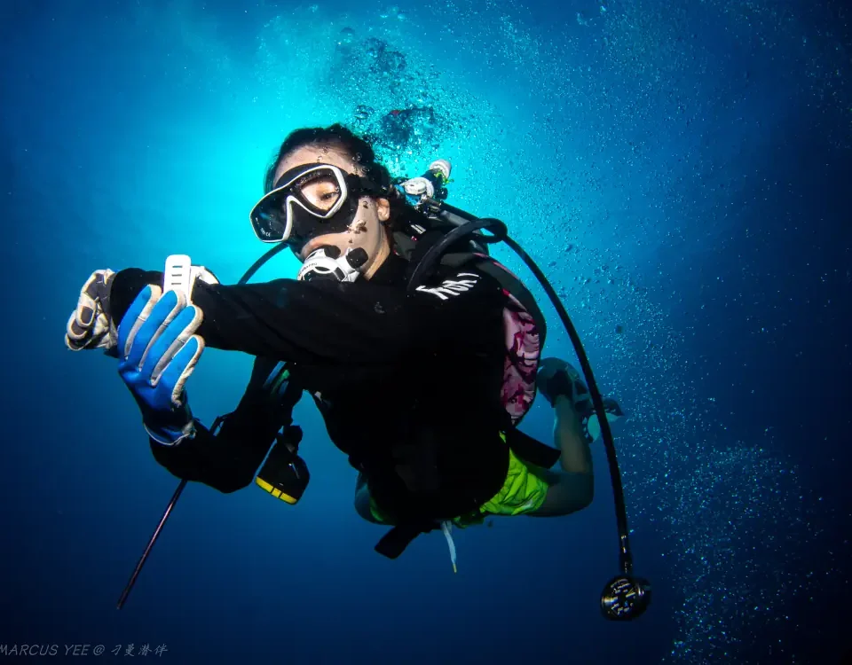 tioman open water course