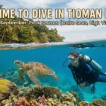 Split-level view of Tioman Island showing a scuba diver and turtle underwater, highlighting the peak diving season from April to September.
