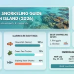 2026 年刁曼岛浮潜便当式信息图指南,详细介绍海洋生物观赏机会 (尼莫、海龟、鲨鱼)、伦吉斯和珊瑚岛等顶级地点、3 月至 10 月的旺季、安全提示和套餐价格。